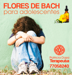Adolescentes-Flores Patricia Daza Terapeuta - Calentando corazones