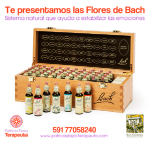 arte-Set-Flores Patricia Daza Terapeuta - Calentando corazones