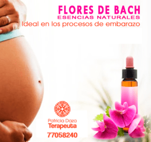 87449949_1822881437843096_5494108872119418880_n Patricia Daza Terapeuta - Calentando corazones