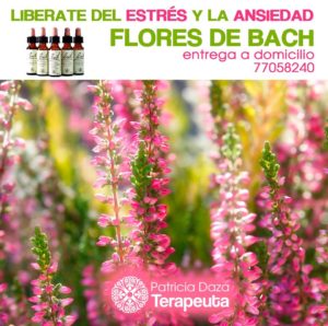 97084312_2886541951400425_3036804687320842240_o Patricia Daza Terapeuta - Calentando corazones