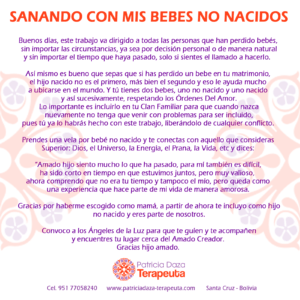 Sanando-con-mis-bebes-no-nacidos Patricia Daza Terapeuta - Calentando corazones