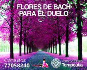 119594169_3221119117942705_3527800521226963704_n Patricia Daza Terapeuta - Calentando corazones