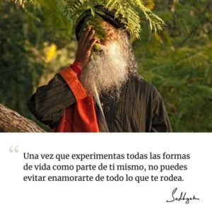 Patricia Daza Terapeuta - Calentando corazones